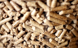 Los pellets son el combustible de las calderas de biomasa